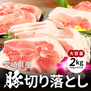 牛肉＆豚肉切り落としセット【合計3kg】 K16_0057_2