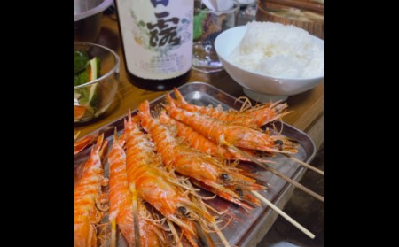種子島 産 車えび 3L サイズ 冷凍 車海老 (250g×3袋) 計750g　NFN427 【500pt】 