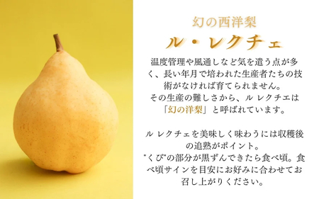 【2026年先行予約】新潟特産 幻の洋梨ル・レクチェ 家庭用 約4kg（8～12玉）《11月下旬～順次出荷》 令和5年新潟県ル・レクチェ果実品評会「県知事賞」いたみ果樹園