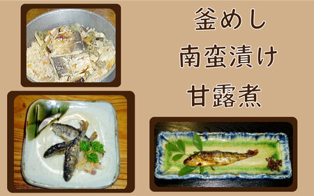 あまご満足膳 御料理コースB 2名様 〈丹波市〉 あまご 川魚料理