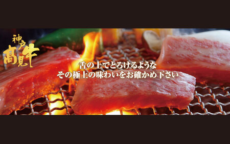 神戸見牛 すき焼・網焼・ステーキ 3品セット 〈兵庫県産〉 神戸牛 焼肉