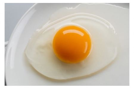 【６ヶ月定期便】丹波奥郷の卵 やまぶき ４５個+５個破卵補償 (約3L）　たまご