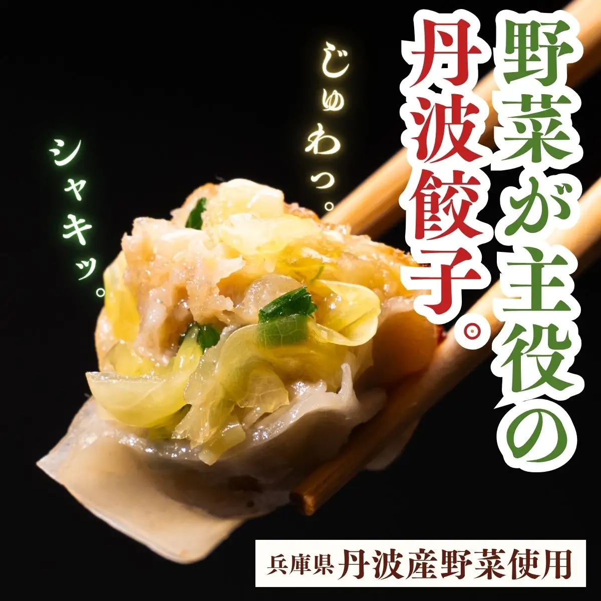 冷凍生餃子 111個 タレ・辣油付 〈丹波産野菜〉 餃子 大容量