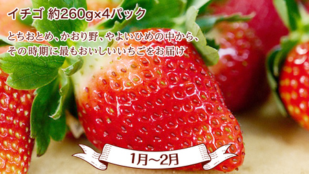 【 全4回 定期便 】 数量限定 贅沢 フルーツ 満喫コース メロン いちご フルーツトマト スイカ 【 2026年9月上旬から発送開始 】 [BC057sa]