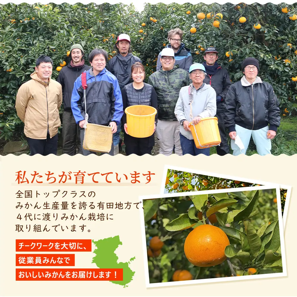 ［先行予約］プレミアム 有田みかん5kg+250g（傷み補償分）［2026年10月初旬から2027年1月末日頃順次発送予定］［IKE250］