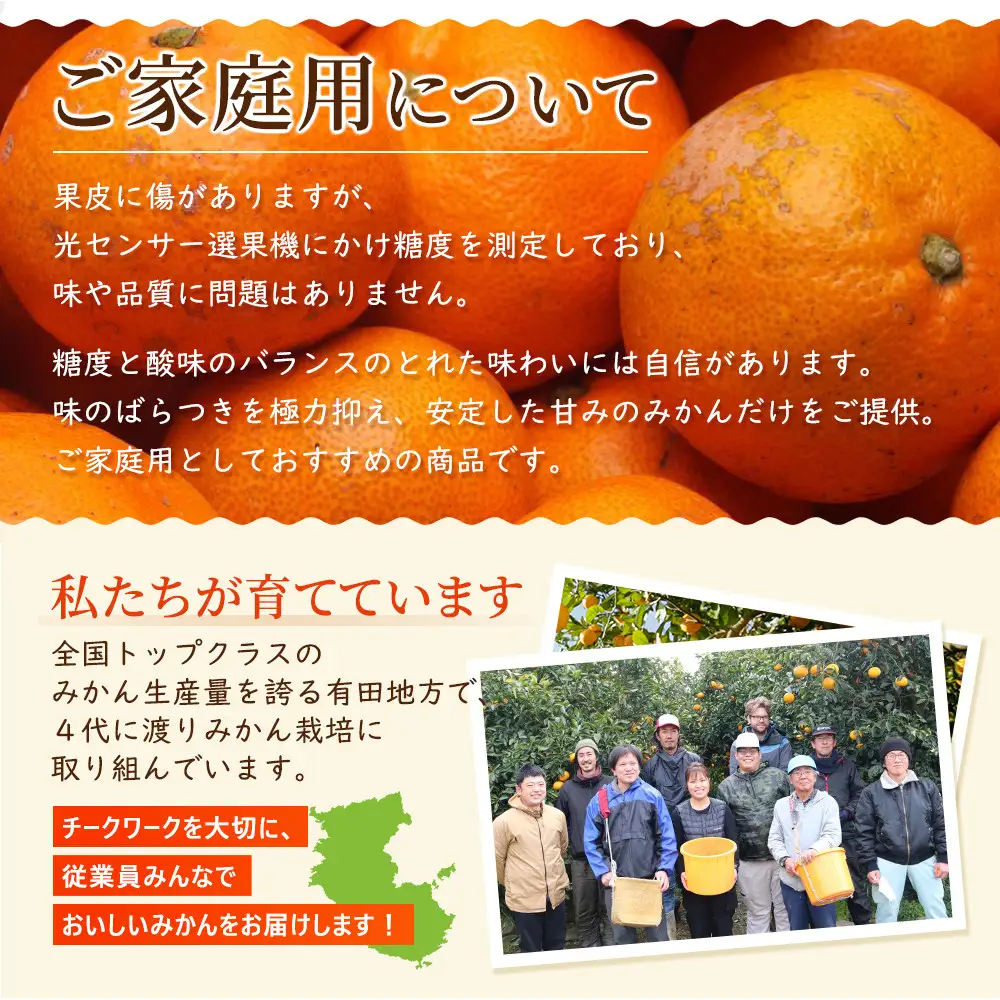［先行予約］家庭用 有田みかん5kg+250g（傷み補償分）［2026年10月初旬から2027年1月末日頃順次発送予定］［IKE247］