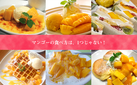 2026年発送　道の駅許田の優品アップルマンゴー　約1kg 完熟 マンゴー アップル 南国 沖縄 フルーツ くだもの 果物 果実 先行予約 産地直送 贅沢 濃厚 スイーツ デザート 旬の果物 贈り物 ギフト プレゼント 贈答用