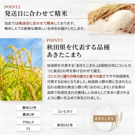 秋田県産あきたこまち20kg【令和7年産】【配送不可地域：離島・沖縄県】【1381407】