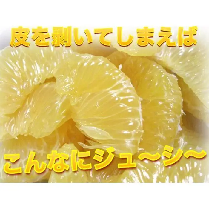 ［訳あり］はっさく 和歌山産 八朔 10kg ［ご自宅用・サイズ不揃い・キズ等あり］