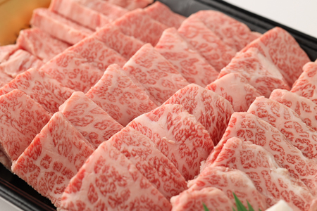 飛騨牛カルビ焼肉用（500g）【22-24】
