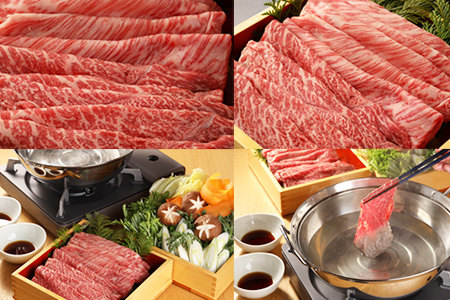 飛騨牛しゃぶしゃぶセット 計400g （もも 200g・肩ロース 200g）【22-32】