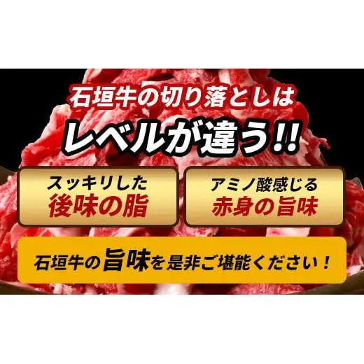 石垣牛・赤身系切り落とし どっさり山盛り1kg入り