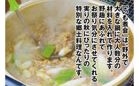 山形のいも煮 内陸味（醤油味・牛肉入り）5袋 F2Y-3378