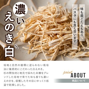 濃いえのき(10袋・計300g)国産 白えのき エノキ きのこ 茸 キノコ セット 個包装【三笠えのき茸生産組合】akn010-05