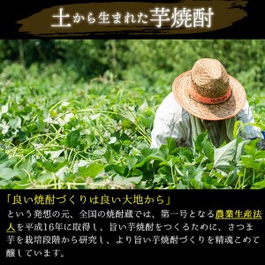 No.971 ＜本格芋焼酎＞南国酒造・自然派志向の芋焼酎 2本セット(土壌・自然栽培・各720ml・合計2本) 鹿児島 九州 酒 芋 焼酎 いも焼酎 地酒 薩摩芋 さつま芋 アルコール 飲み比べ セット