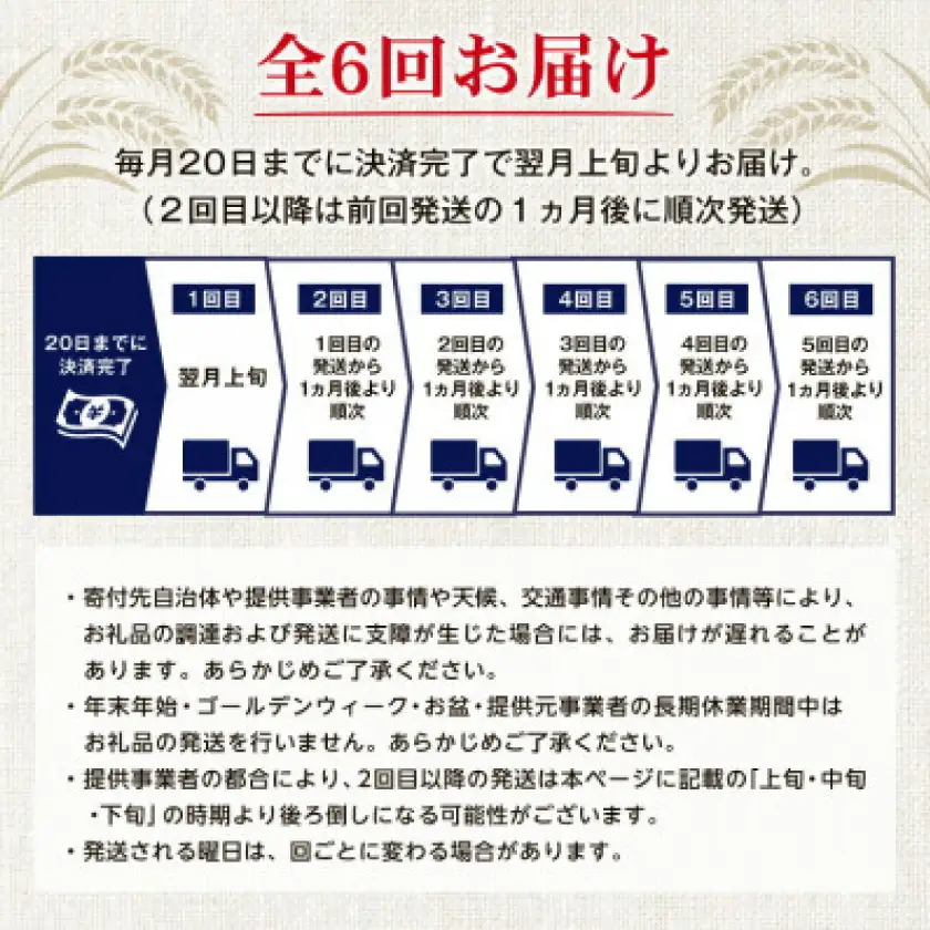 【毎月定期便】オリオン ザ・プレミアム(350ml×24本)全6回【4062059】