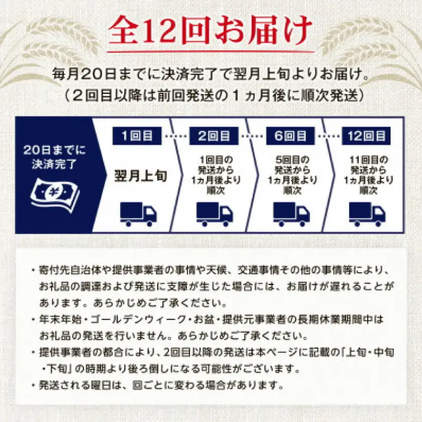 【毎月定期便】オリオン ザ・プレミアム(350ml×24本)全12回【4062060】