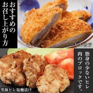 鹿児島県産黒豚ヒレブロック 2本 合計約1kg！【00-057-14】