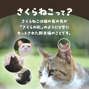 メール便発送【訳ありコーヒー定期便】さくらねこ支援コーヒーセット（粉）12ヶ月   珈琲 ブレンド コーヒー