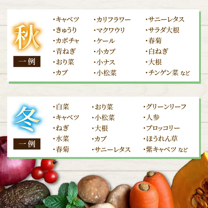 【5営業日発送！】農家直送 旬の野菜セット 7品目以上 1箱 ／ 季節 野菜 ボックス BOX セット セレクト 農家 おまかせ 多品目 旬 詰め合わせ 根菜 葉物 [aw028-a012]