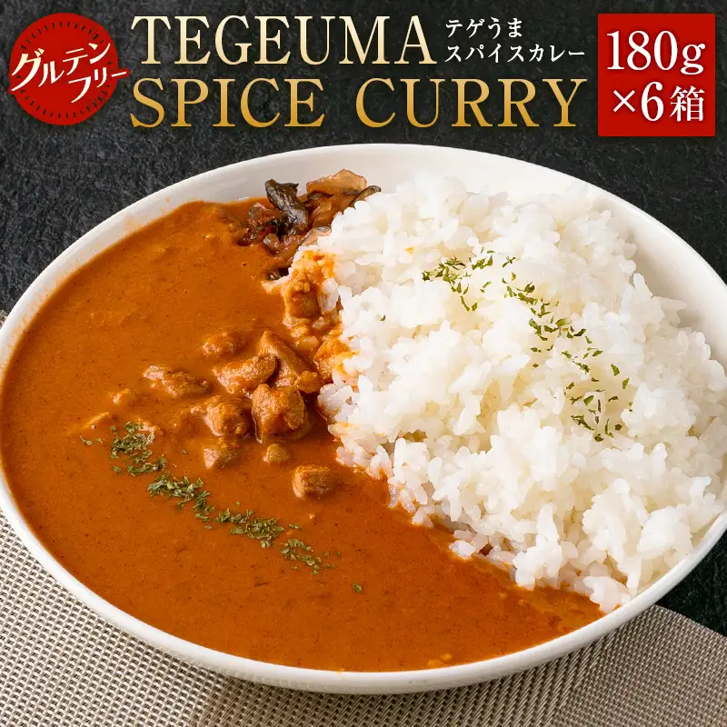 グルテンフリー 無水チキンカレー TEGEUMA SPICE CURRY（テゲうまスパイスカレー）180g×6箱【B595】