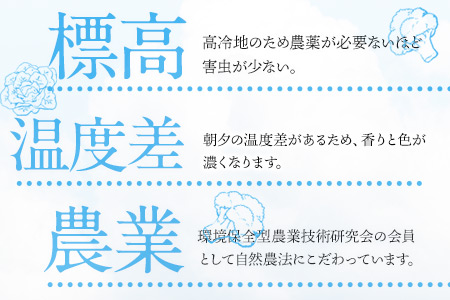 南阿蘇オーガニック 旬の野菜セット10種類以上詰め合わせ《30日以内に出荷予定(土日祝除く)》熊本県 南阿蘇村 野菜 カブ ビーツ サニーレタス クレソン ブロッコリー 水前寺菜 ほうれん草２種 チンゲン菜 春菊 スイスチャード