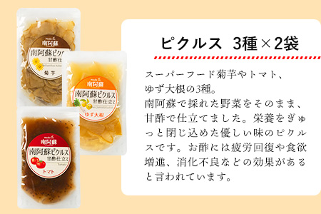 南阿蘇オーガニック あか牛だご汁2食とピクルス3種×2セット《30日以内に出荷予定(土日祝除く)》 熊本県 南阿蘇村 だご汁 ピクルス トマト 菊芋 ゆず大根 郷土料理