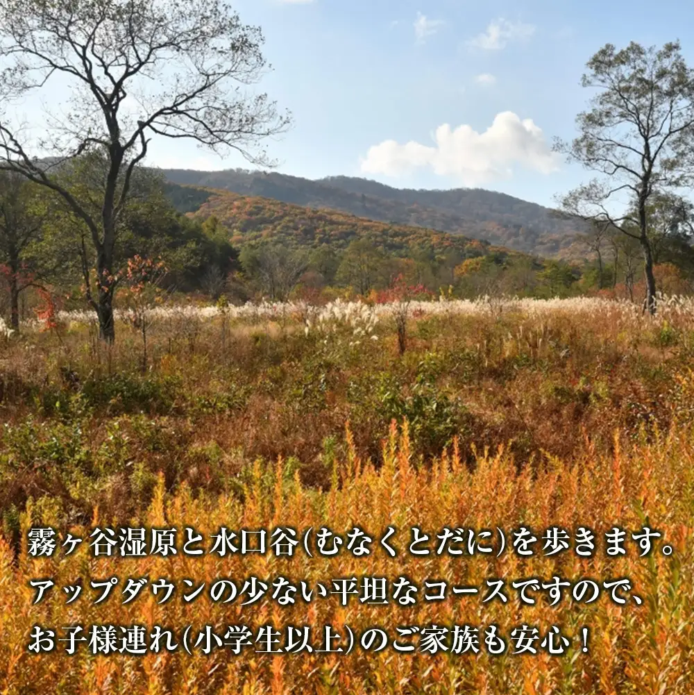 国定公園を専属ガイドと巡る『八幡湿原』トレッキング体験プラン GE014_001