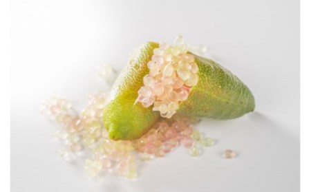 フィンガーライム クラフトコーラ　希釈用１本（約６杯分）【FINGER LIME JAPAN公認】 キャビア ライム フルーツ キャビア 尾鷲 ふるさと納税　SY-2