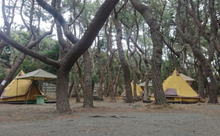 ちがさき柳島キャンプ場 セットアップテントで森林浴キャンプ アウトドア キャンプ場利用券 初心者 気軽 設置済テント BBQ 海岸遊び 焚火 テーブル付き タープ付き 5名用テント 日帰り 宿泊 