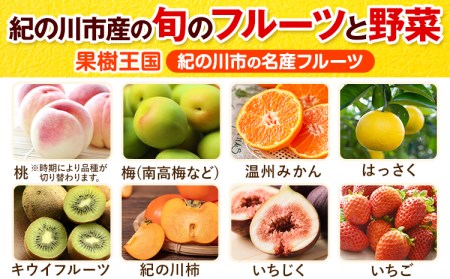 旬のフルーツ＆野菜セット8~10品