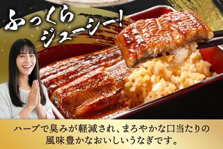 宮崎県産 ハーブ うなぎ 蒲焼 4尾 計720g 以上 タレ山椒付き [鰻楽 宮崎県 日向市 452061651]