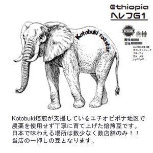 最高級スペシャルビーンズ 厳選3種《 焙煎豆 焙煎 コーヒー 珈琲 》【2402G11701】