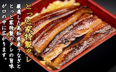 【 鰹のタタキ 】【 うなぎの蒲焼 】 鰹のタタキ2節うなぎの蒲焼2尾 BE