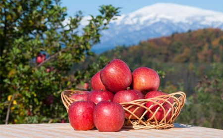 FYN9-688 《2026年先行予約》贈答用 山形県産 高徳 りんご 約2kg(6～12玉) 2026年10月下旬頃から順次発送 林檎 リンゴ 小玉 蜜 秋果実 果物 くだもの フルーツ 贈り物 ギフト プレゼント 化粧箱 産地直送 山形県 西川町 月山