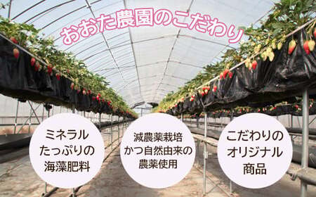 【先行予約】鳥取県産いちご かおりの 15粒（ギフト箱入）【イチゴ 苺 フルーツ 果物 かおりの かおり野 大粒 減農薬栽培 ギフト プレゼント 季節限定 先行予約】
