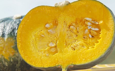 幻のかぼちゃ！ＪＡそらち南　「栗マロンかぼちゃ」秀6～8玉　約10kg