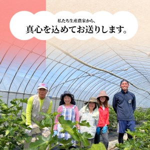 湖畔のいちじく贈答用　2パック　果物 フルーツ 【2026年配送・先行予約】 CI-0002