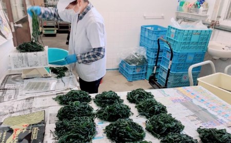 【山田海産物】肉厚塩蔵わかめ500g×4袋入り
