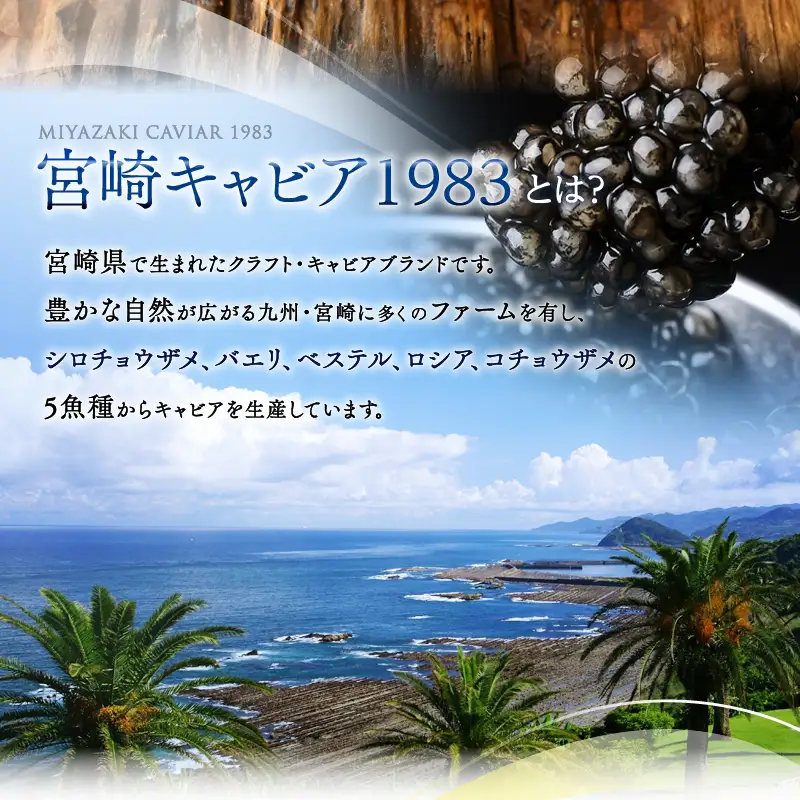 熟成キャビア醤油（30ｇ） キャビア醤油 キャビア 醤油 30g 長期熟成 熟成 チョウザメ チョウザメ魚卵 調味料 お料理 料理 ギフト グルメ お取り寄せ