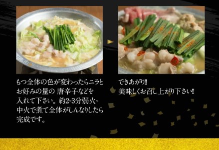 焼肉大臣特製もつ鍋(2～3人前) N066-YZA573