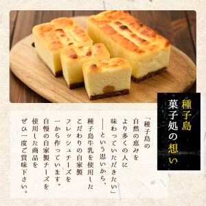 n145 チーズケーキ 2本入・計500g 種子島生乳 クリームチーズ 自家製チーズ 【菓子処渡辺】