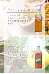 n025 パッション・グァバ ジュース セット 合計2本・各500ml 鹿児島 種子島 希釈タイプ フルーツ 【菓心利休】