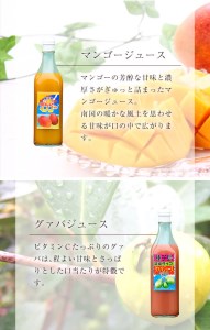 n026 グァバ・マンゴー ジュース セット 合計2本・各500ml 鹿児島 種子島 希釈タイプ フルーツ 【菓心利休】