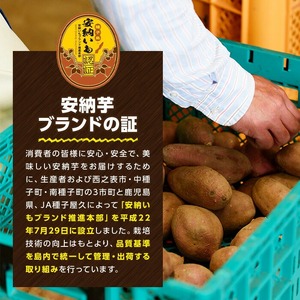 数量限定！種子島産 安納芋 Mサイズ・10kg 紅 さつまいも 【JA種子屋久】n046