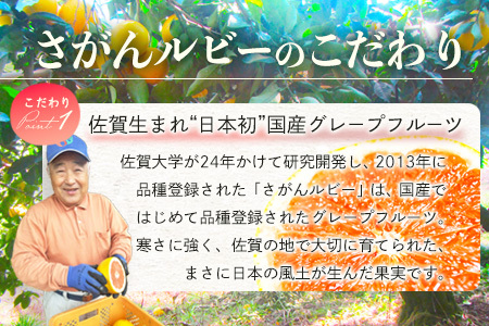 【数量限定・リピーター続出】先行予約 グレープフルーツ「さがんルビー」 約５ｋｇ 防腐剤不使用 希少 国産グレープフルーツ【3月下旬頃より順次発送予定】 B-2