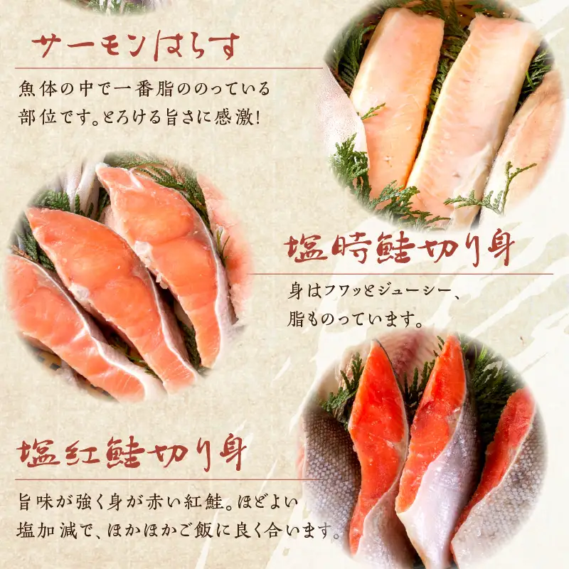 《14営業日以内に発送》船長自慢の海鮮セット ( 海鮮セット 海鮮 魚介類 ホッケ ナメタガレイ いか サーモン 鮭 時鮭 紅鮭 )【114-0065】