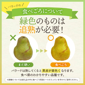 【2026年産】西洋梨 バラード 5kg 秀品 化粧箱入 西洋梨