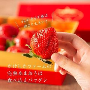 【2027年1月～4月出荷分予約販売】★希少4Lサイズ 450g ★赤のVIPボックスに入った宝石のような「完熟あまおう」！