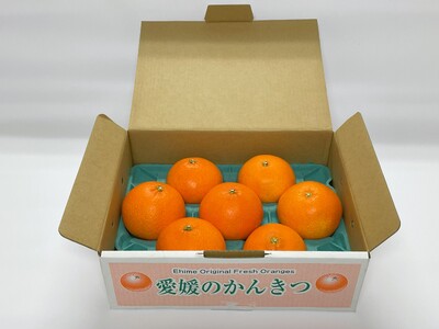 【2026年先行予約】紅まどんな 1.7kg (5～10個) 愛媛みかん 愛果28号 化粧箱入り 【11月下旬より順次発送予定】 紅マドンナ まどんな マドンナ みかん ミカン 蜜柑 果物 くだもの フルーツ 柑橘 かんきつ 柑橘類 愛媛果試第28号 あいか ギフト 贈り物 贈答用 おすすめ 人気 お取り寄せ 国産 愛媛 伊予市｜B36